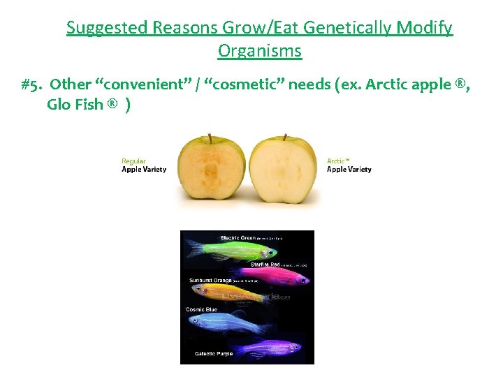 Suggested Reasons Grow/Eat Genetically Modify Organisms #5. Other “convenient” / “cosmetic” needs (ex. Arctic