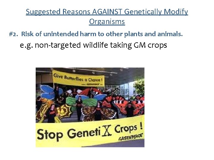 Suggested Reasons AGAINST Genetically Modify Organisms #2. Risk of unintended harm to other plants