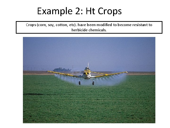 Example 2: Ht Crops (corn, soy, cotton, etc). have been modified to become resistant