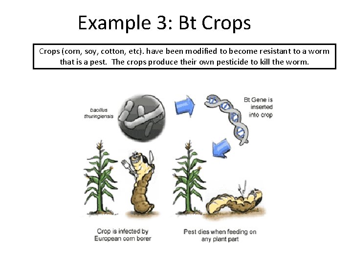Example 3: Bt Crops (corn, soy, cotton, etc). have been modified to become resistant