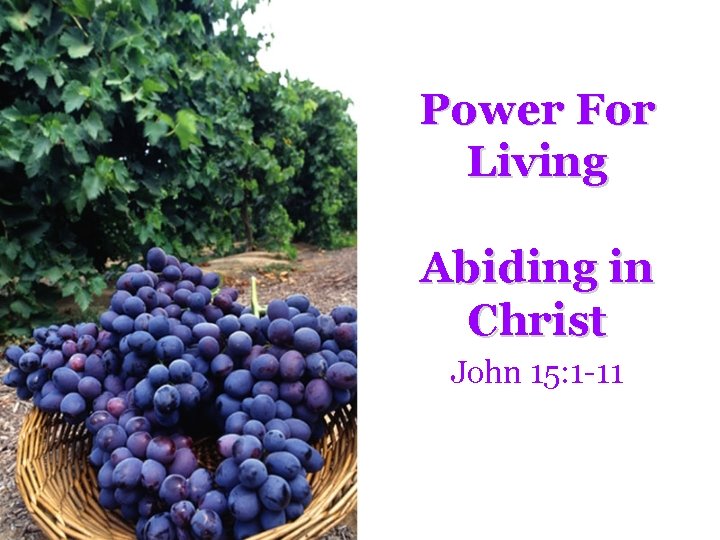 Power For Living Abiding in Christ John 15: 1 -11 