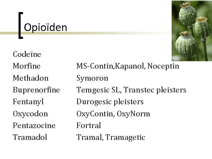 Opioïden Codeïne Morfine Methadon Buprenorfine Fentanyl Oxycodon Pentazocine Tramadol MS-Contin, Kapanol, Noceptin Symoron Temgesic