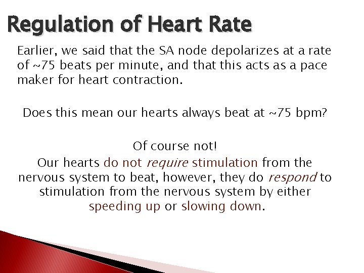 Regulation of Heart Rate Earlier, we said that the SA node depolarizes at a Regulation of Heart Rate Earlier, we said that the SA node depolarizes at a