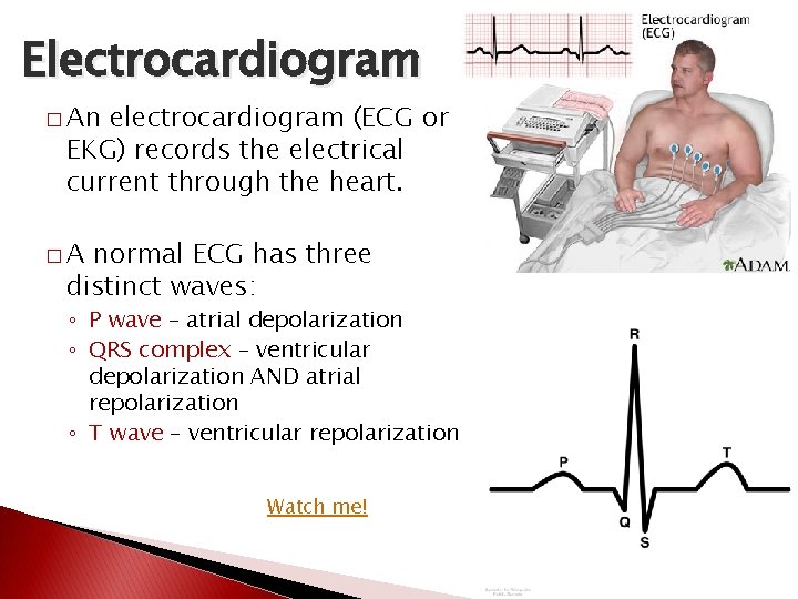 Electrocardiogram � An electrocardiogram (ECG or EKG) records the electrical current through the heart. Electrocardiogram � An electrocardiogram (ECG or EKG) records the electrical current through the heart.