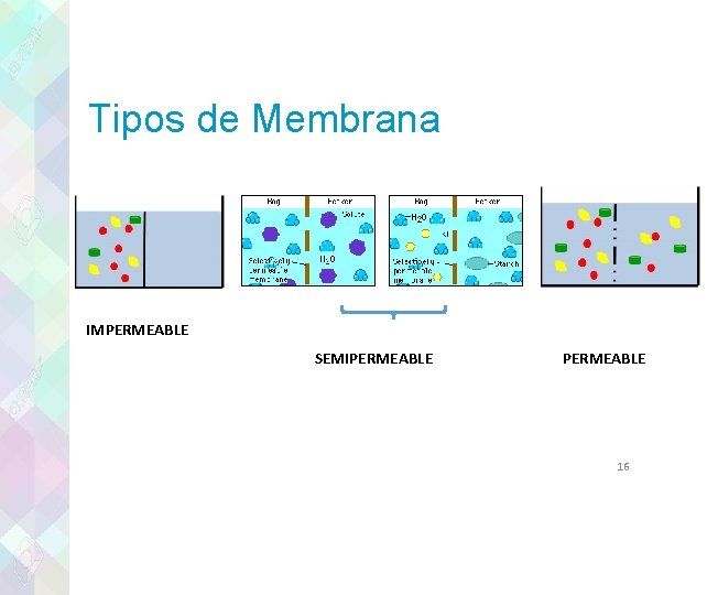 Tipos de Membrana IMPERMEABLE SEMIPERMEABLE 16 