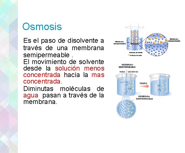 Osmosis Es el paso de disolvente a través de una membrana semipermeable. El movimiento