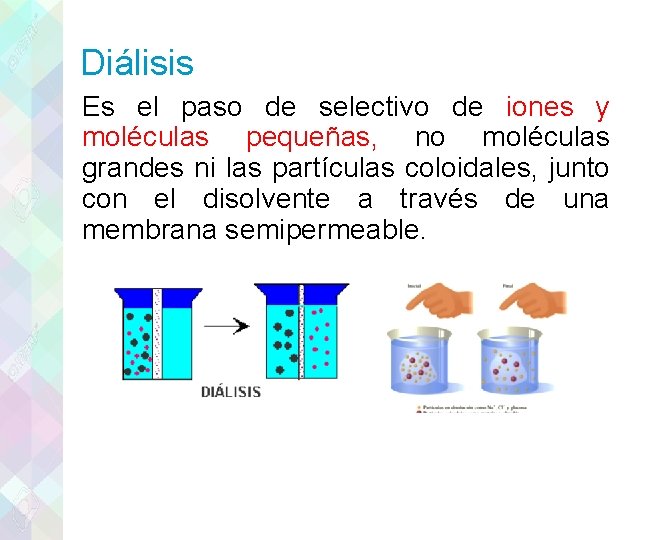 Diálisis Es el paso de selectivo de iones y moléculas pequeñas, no moléculas grandes