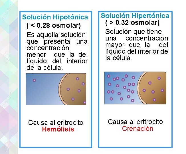 Solución Hipotónica ( < 0. 28 osmolar) Es aquella solución que presenta una concentración