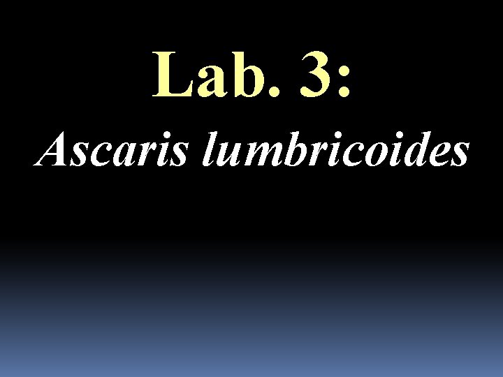 Lab. 3: Ascaris lumbricoides 