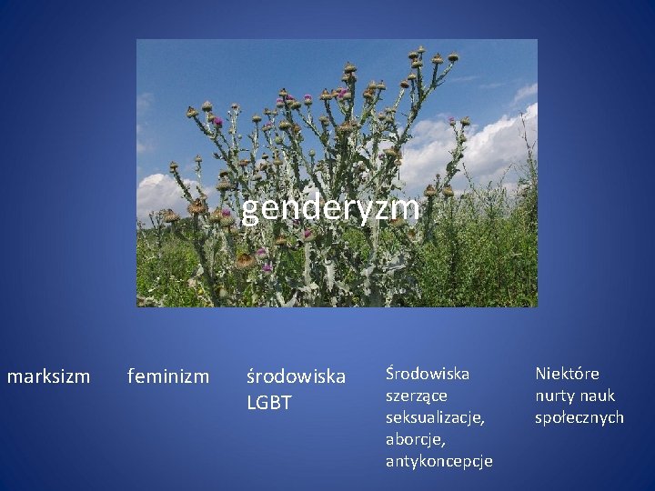 genderyzm marksizm feminizm środowiska LGBT Środowiska szerzące seksualizacje, aborcje, antykoncepcje Niektóre nurty nauk społecznych