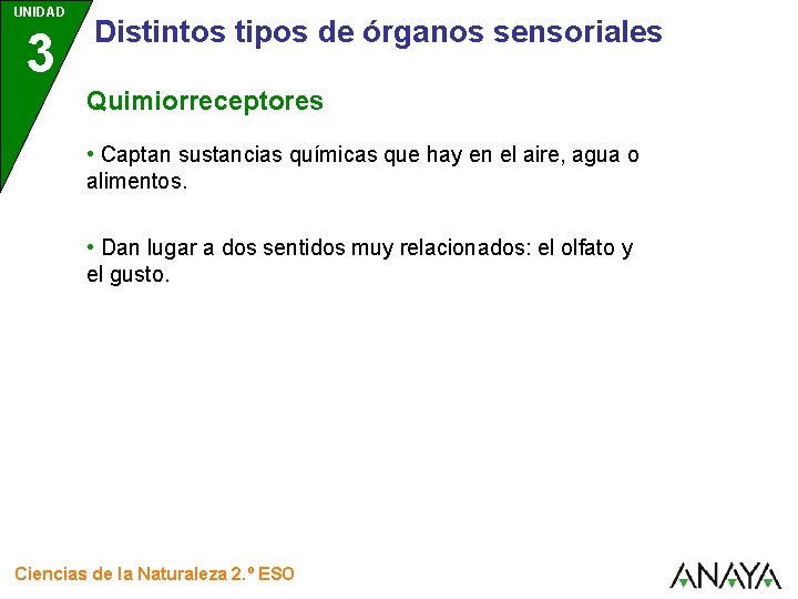 UNIDAD 3 Distintos tipos de órganos sensoriales Quimiorreceptores • Captan sustancias químicas que hay