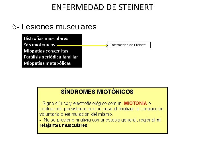 ENFERMEDAD DE STEINERT 5 - Lesiones musculares Distrofias musculares Sds miotónicos Miopatias congénitas Parálisis