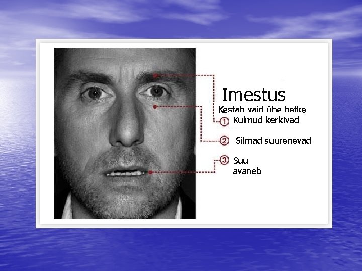 Imestus Kestab vaid ühe hetke Kulmud kerkivad Silmad suurenevad Suu avaneb Imestus Kestab vaid ühe hetke Kulmud kerkivad Silmad suurenevad Suu avaneb