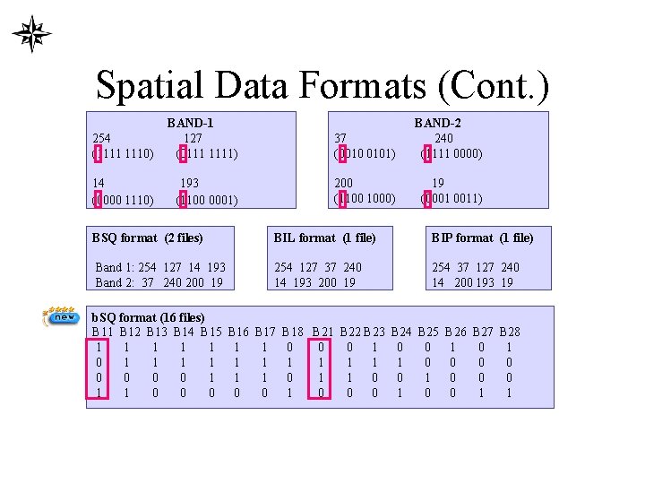 Spatial Data Formats (Cont. ) 254 (1111 1110) BAND-1 127 (0111 1111) 37 (0010