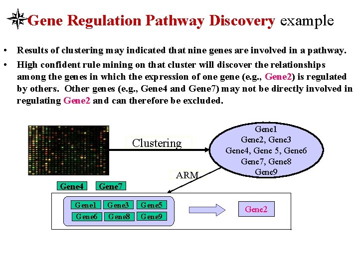 Gene Regulation Pathway Discovery example • Results of clustering may indicated that nine genes