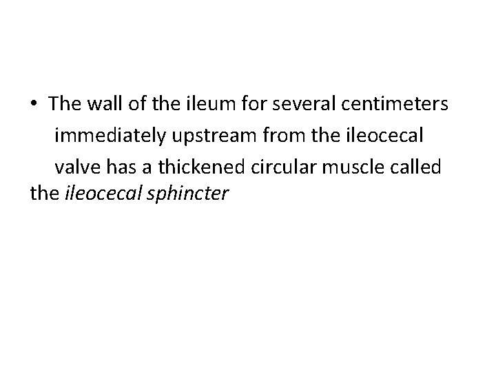  • The wall of the ileum for several centimeters immediately upstream from the