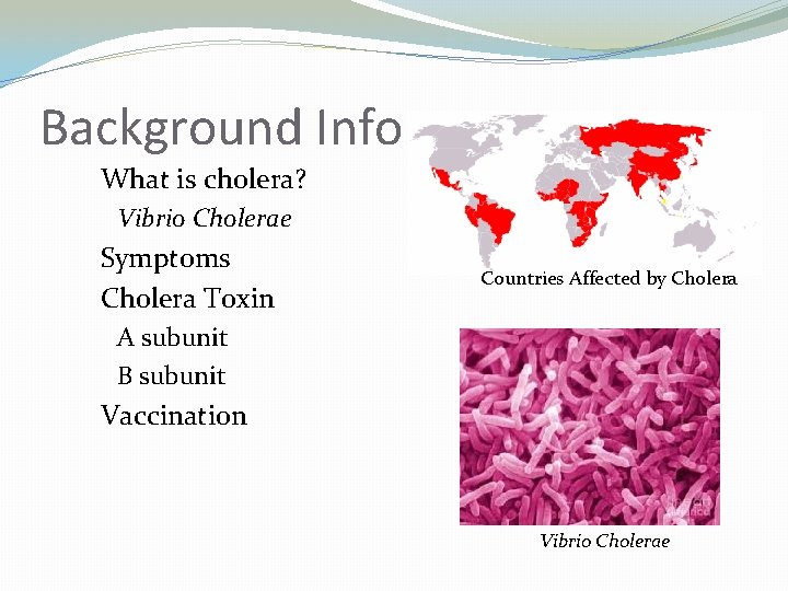 Background Info What is cholera? Vibrio Cholerae Symptoms Cholera Toxin Countries Affected by Cholera