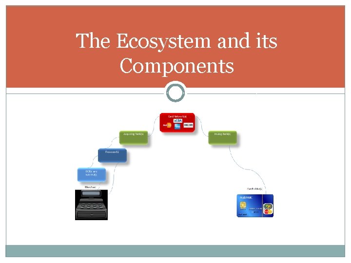 The Ecosystem and its Components 