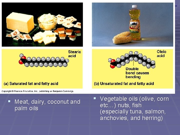 Figure 5. 11 Examples of saturated and unsaturated fats and fatty acids § Meat,