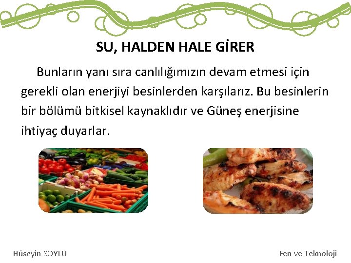 SU, HALDEN HALE GİRER Bunların yanı sıra canlılığımızın devam etmesi için gerekli olan enerjiyi