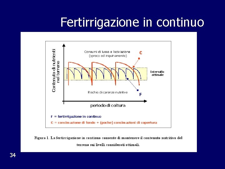 Fertirrigazione in continuo 34 