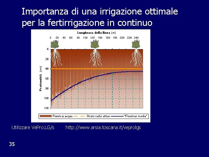 Importanza di una irrigazione ottimale per la fertirrigazione in continuo Utilizzare Ve. Pro. LG/s