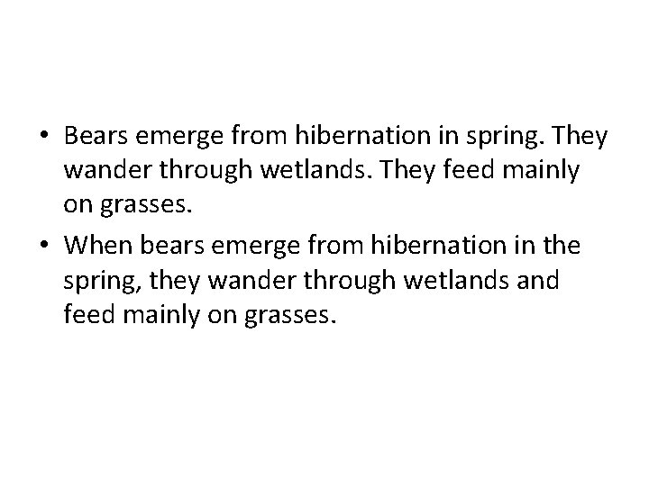  • Bears emerge from hibernation in spring. They wander through wetlands. They feed