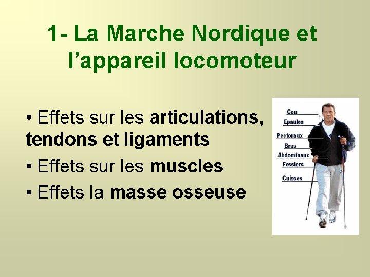 1 - La Marche Nordique et l’appareil locomoteur • Effets sur les articulations, tendons