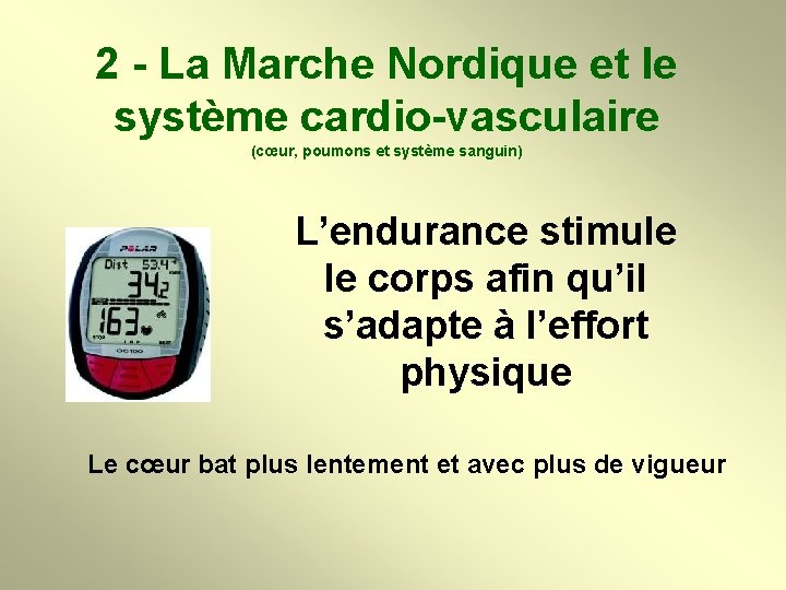 2 - La Marche Nordique et le système cardio-vasculaire (cœur, poumons et système sanguin)