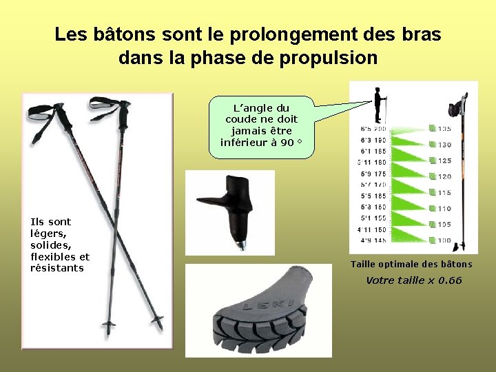 Les bâtons sont le prolongement des bras dans la phase de propulsion L’angle du