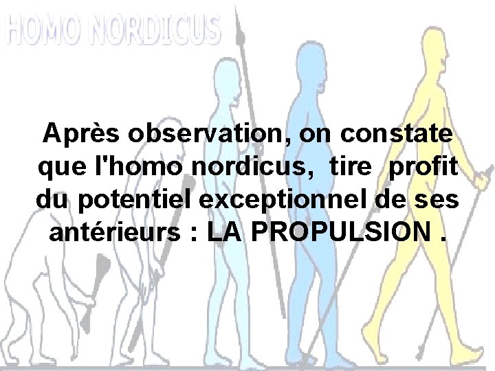 Après observation, on constate que l'homo nordicus, tire profit du potentiel exceptionnel de ses