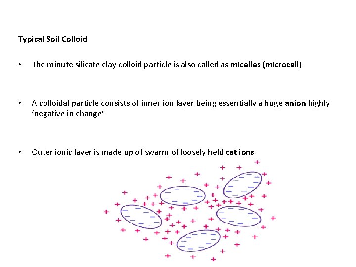 Typical Soil Colloid • The minute silicate clay colloid particle is also called as