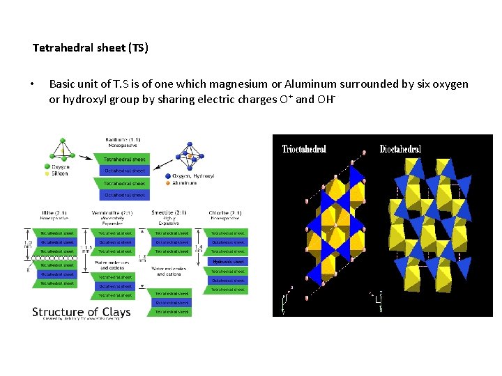  Tetrahedral sheet (TS) • Basic unit of T. S is of one which