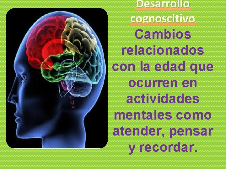 Desarrollo cognoscitivo Cambios relacionados con la edad que ocurren en actividades mentales como atender,