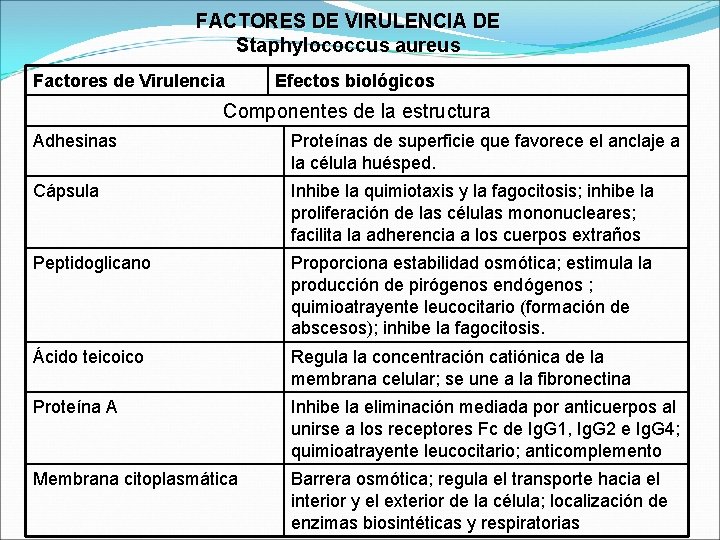 GNEROS STAPHYLOCOCCUS STREPTOCOCCUS Martha Jcome B Bacteriloga Lab
