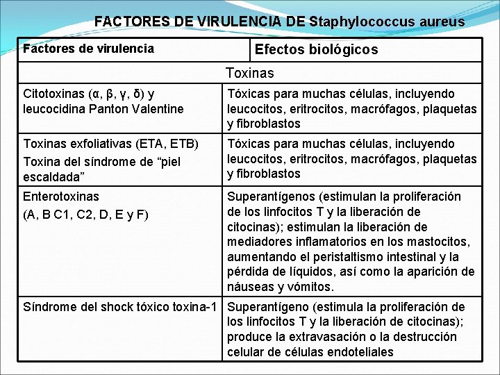 GNEROS STAPHYLOCOCCUS STREPTOCOCCUS Martha Jcome B Bacteriloga Lab