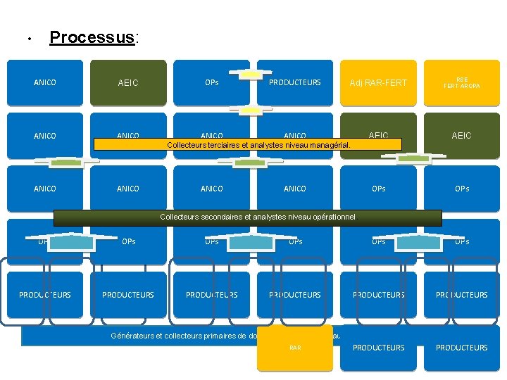  • Processus: ANICO AEIC ANICO OPs PRODUCTEURS Adj RAR-FERT RSE FERT-AROPA ANICO AEIC