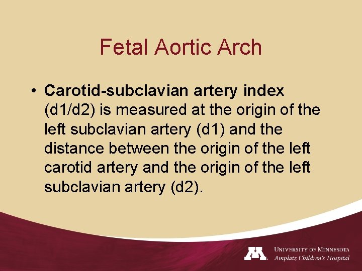 Fetal Aortic Arch • Carotid-subclavian artery index (d 1/d 2) is measured at the