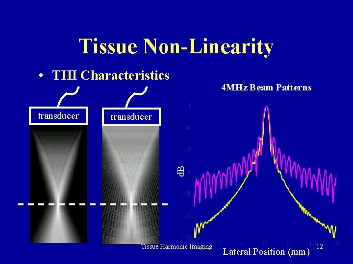 Tissue Non-Linearity • THI Characteristics transducer d. B transducer 4 MHz Beam Patterns Tissue