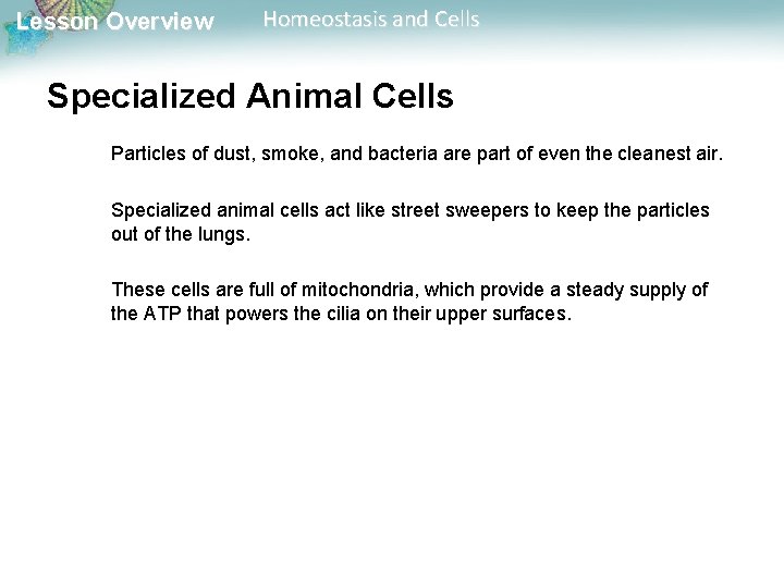 Lesson Overview Homeostasis and Cells Specialized Animal Cells Particles of dust, smoke, and bacteria