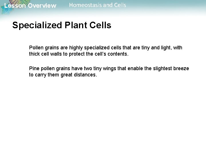 Lesson Overview Homeostasis and Cells Specialized Plant Cells Pollen grains are highly specialized cells