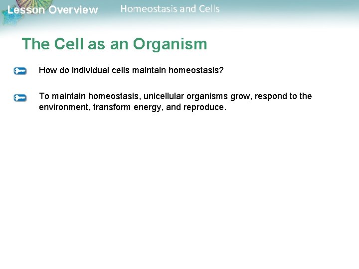 Lesson Overview Homeostasis and Cells The Cell as an Organism How do individual cells