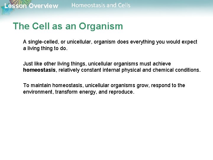 Lesson Overview Homeostasis and Cells The Cell as an Organism A single-celled, or unicellular,