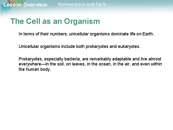 Lesson Overview Homeostasis and Cells The Cell as an Organism In terms of their