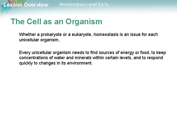 Lesson Overview Homeostasis and Cells The Cell as an Organism Whether a prokaryote or