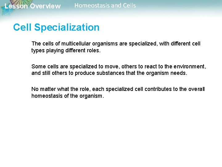 Lesson Overview Homeostasis and Cells Cell Specialization The cells of multicellular organisms are specialized,