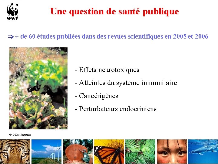 Une question de santé publique + de 60 études publiées dans des revues scientifiques