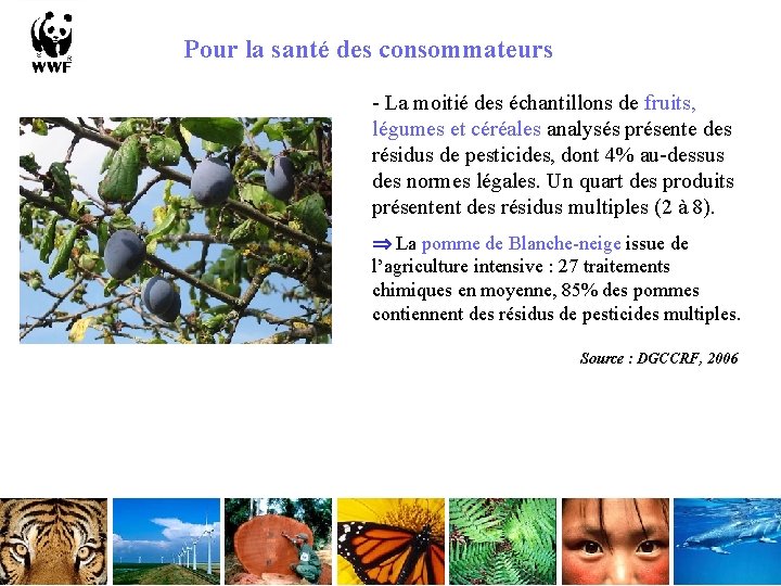 Pour la santé des consommateurs - La moitié des échantillons de fruits, légumes et