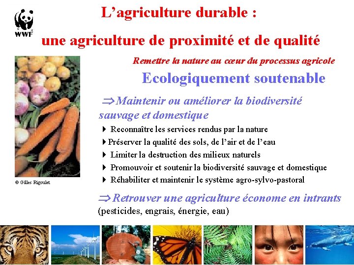 L’agriculture durable : une agriculture de proximité et de qualité Remettre la nature au