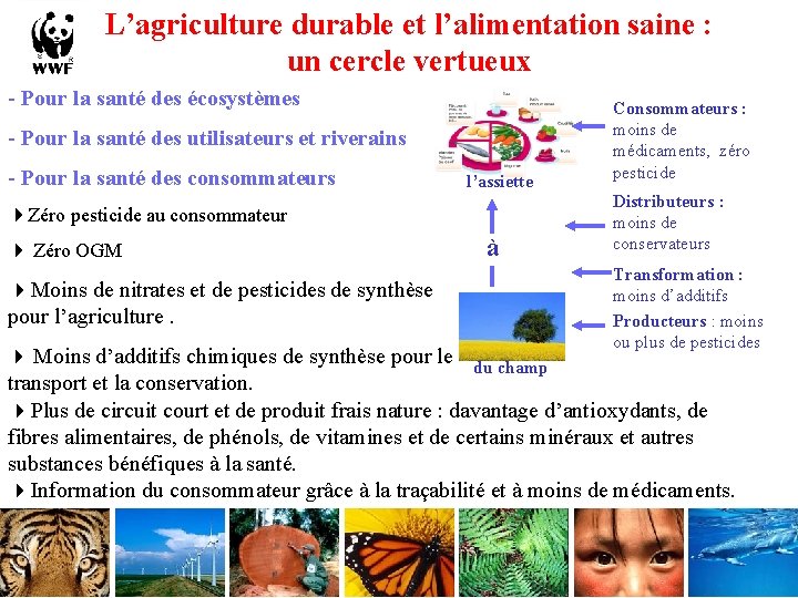 L’agriculture durable et l’alimentation saine : un cercle vertueux - Pour la santé des